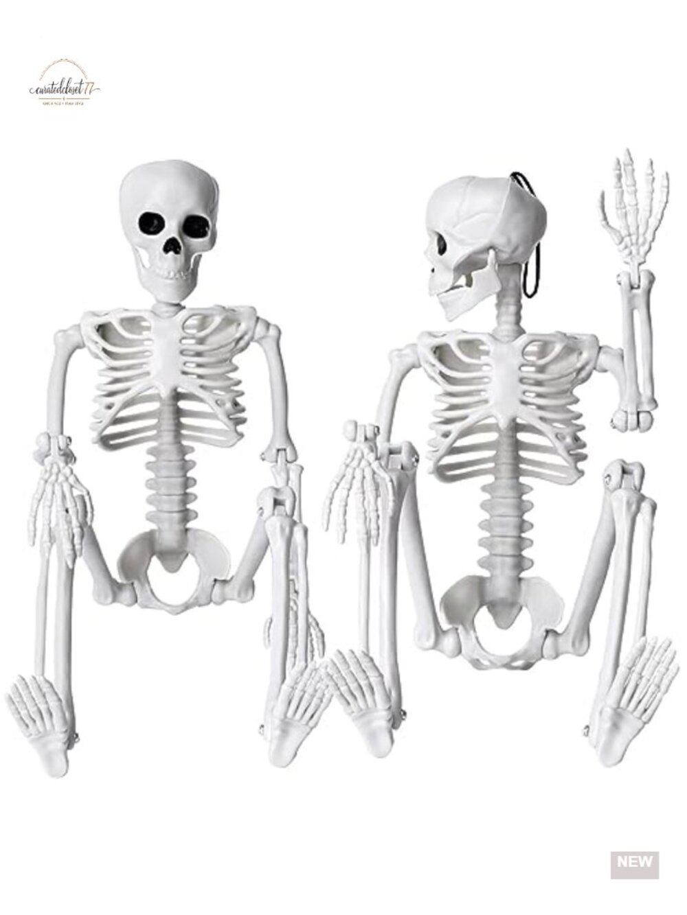 2-Pack Posable Halloween Skeleton Decorations 16" Plastic Indoor Outdoor